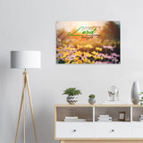 ff6b6fba-d9dd-4acb-9593-1f0ef3c61764