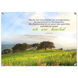 ffbb614e-b3f8-414e-a20b-ae2d80617b24