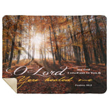 Bible Verses Premium Sherpa Mink Blanket - O Lord My God, You Healed Me ~Psalm 30:2~