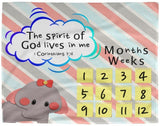 Cozy Plush Baby Milestone Blanket - Spirit Of God Lives In Me ~1 Corinthians 3:16~ (Design: Elephant)